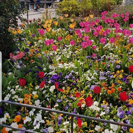 Appartamento Rosy Peschiera del Garda Luaran gambar