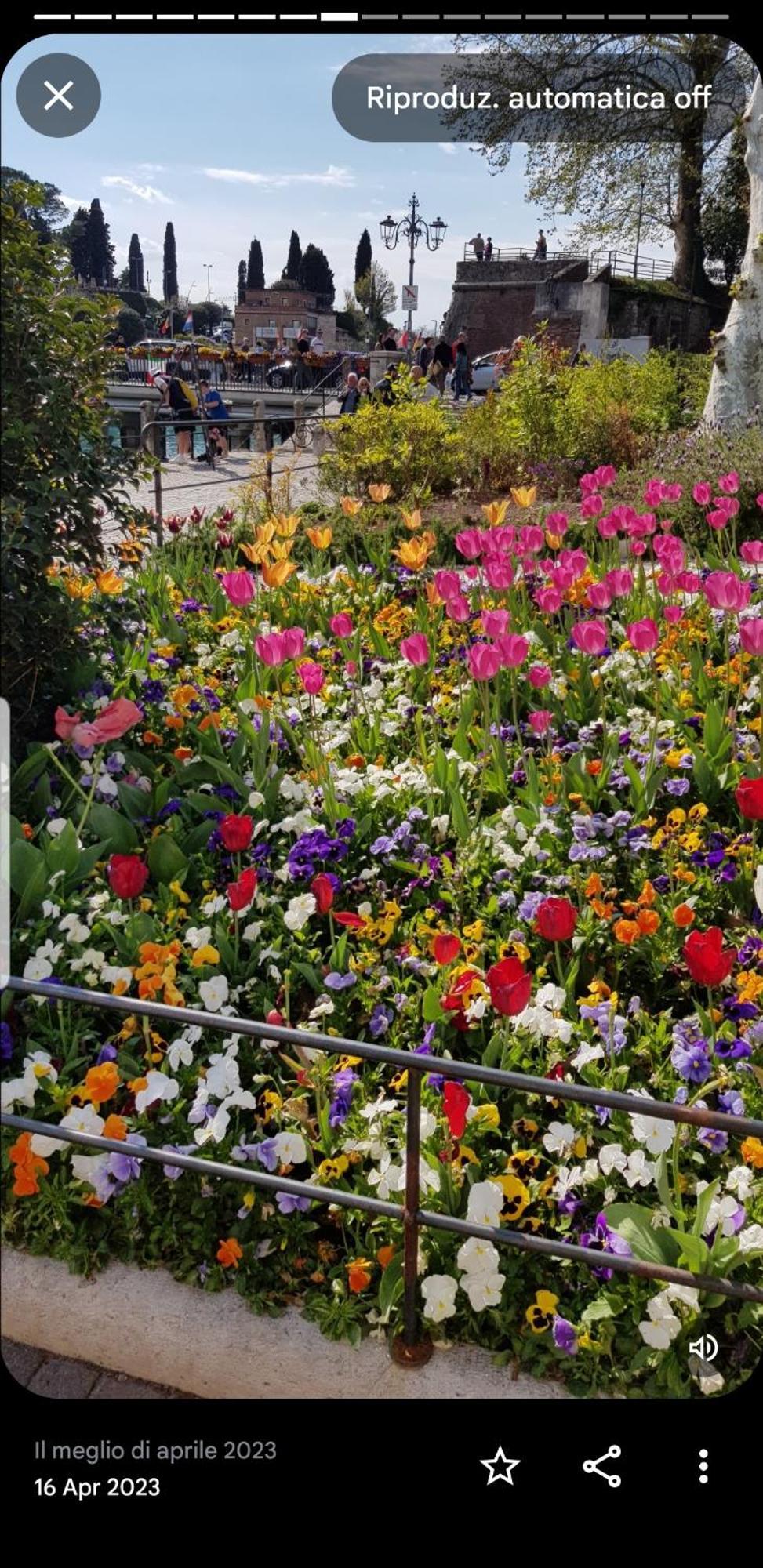 Appartamento Rosy Peschiera del Garda Luaran gambar